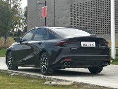 Trumpchi Shadow Leopard 270T DCT J10 Flying Edition - фото 4