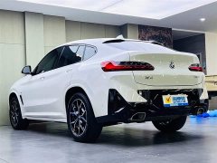 BMW X4 xDrive 25i M - фото 6