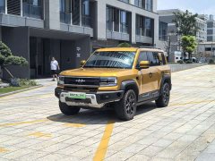 Fangchengbao Leopard 5 2023 Yunnan flagship version - фото 1