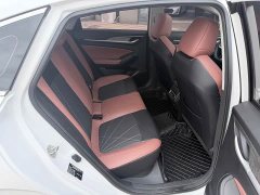 Ford EADO PLUS Blue Whale NE 1.4T GDI DCT High Energy Edition - фото 13