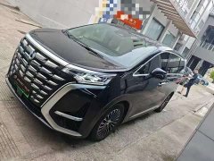 Denza D9 DM-i 980 four-wheel drive flagship - фото 1
