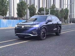 Volkswagen Tiguan L PRO 380TSI four-wheel drive R-Line Zhizun Edition - фото 1