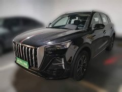 Hongqi HS5 2.0T two-wheel drive Qixiang Pro version - фото 1