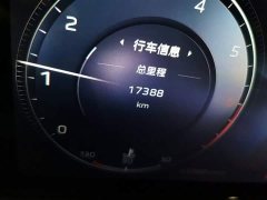 Hongqi HS5 2.0T two-wheel drive Qixiang Pro version - фото 8