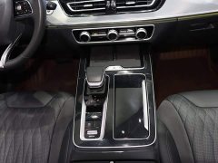 Hongqi HS5 2023 2.0T Qixiang Pro version - фото 15
