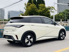 BYD Dolphin 2023 420km Fashion Edition - фото 6