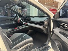 Trumpchi Shadow Leopard 2023 400T automatic R MAX - фото 15
