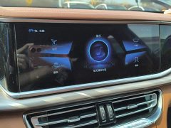 Hongqi H9 2.0T Zhilian Flagship Edition - фото 13