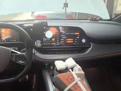Hongqi Tiangong 08 605 Max rear-wheel drive version - фото 13