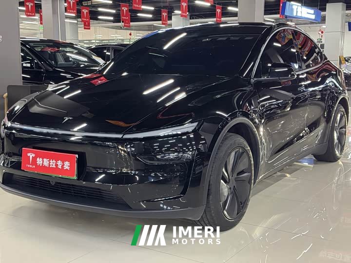 Tesla Model Y rear-wheel drive version - автомобиль из Китая