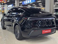 Tesla Model Y rear-wheel drive version - фото 9