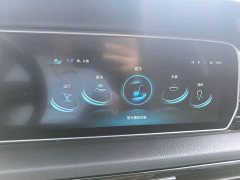 Hongqi HS5 2022 2.0T Zhilian Qixiang four-wheel drive version - фото 12