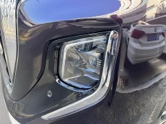 Hongqi HQ9 PHEV 2.0T four-wheel drive luxury version - фото 8
