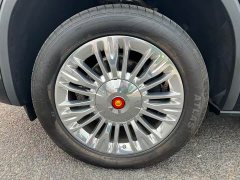 Hongqi Golden Sunflower Guoyao 4.0T Monarch Flagship Edition 4 seats - фото 10