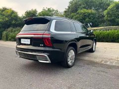 Hongqi Golden Sunflower Guoyao 4.0T Monarch Flagship Edition 4 seats - фото 4