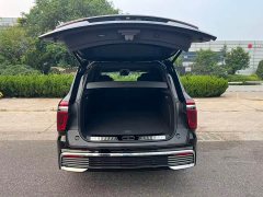 Hongqi Golden Sunflower Guoyao 4.0T Monarch Flagship Edition 4 seats - фото 5