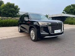 Hongqi Golden Sunflower Guoyao 4.0T Monarch Flagship Edition 4 seats - фото 7