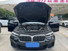 BMW 5 Series facelift 530Li leading luxury package - фото 10