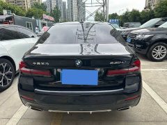 BMW 5 Series facelift 530Li leading luxury package - фото 5