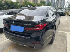BMW 5 Series facelift 530Li leading luxury package - фото 6