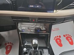Volkswagen Passat 380TSI Premium Edition - фото 16