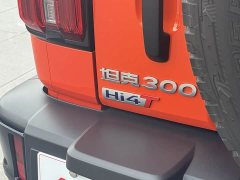 Tank 300 New Energy Hi4-T 37.1kWh - фото 11