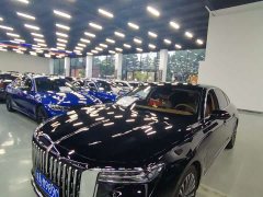 Hongqi H9 2.0T two-wheel drive flag luxury business version 5 seats - фото 3