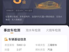 Hongqi H5 2.0T Automatic Xuanying Edition - фото 15