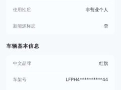 Hongqi H5 2.0T Automatic Xuanying Edition - фото 16