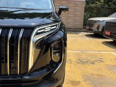 Hongqi HS7 PHEV 2.0T PHEV four-wheel drive Qichang version 6 seats - фото 3