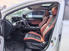 Ford Eado Enjoy Edition PLUS Blue Whale NE 1.4T GDI DCT Premium Edition - фото 10
