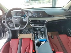 Ford EADO PLUS Blue Whale NE 1.4T GDI DCT Premium Type - фото 10