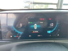 Ford EADO PLUS Blue Whale NE 1.4T GDI DCT Premium Type - фото 12