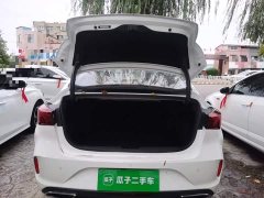 Ford EADO PLUS Blue Whale NE 1.4T GDI DCT Ultimate Edition - фото 19