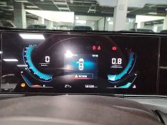 Ford EADO PLUS Blue Whale NE 1.4T GDI DCT Premium Type - фото 12