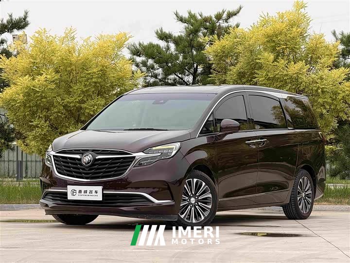 Buick GL8 ES Lu Zun 653T flagship - автомобиль из Китая