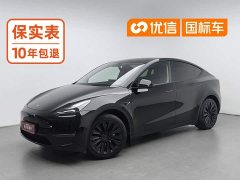 Tesla Model Y 2023 long-range all-wheel drive version - фото 1