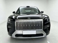 Zeekr 8X Max version 55kWh - фото 2
