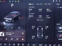 Li Auto Ideal L7 2024 MAX - фото 15
