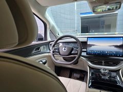 Denza D9 DM-i 980 four-wheel drive flagship - фото 11