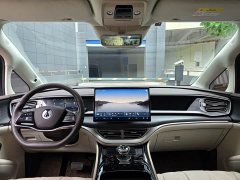 Denza D9 DM-i 980 four-wheel drive flagship - фото 12