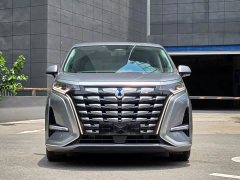 Denza D9 DM-i 980 four-wheel drive flagship - фото 4