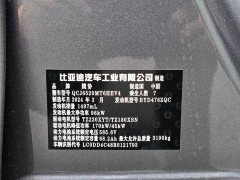 Denza D9 DM-i 980 four-wheel drive flagship - фото 8