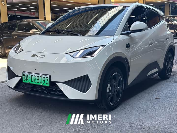 BYD Seagull smart driving version 305km free version - автомобиль из Китая