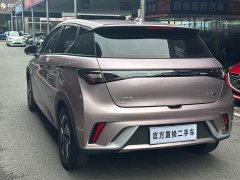 BYD Dolphin 2021 405km fashion version - фото 4
