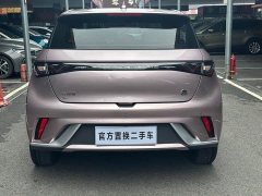 BYD Dolphin 2021 405km fashion version - фото 5