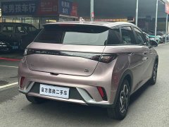 BYD Dolphin 2021 405km fashion version - фото 6