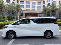 Alfa Romeo Alfa Shuangqing 2.5L Premium Edition - фото 6