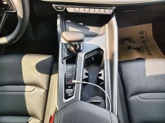 Geely Xingrui 1.5TD Dragon Edition - фото 6