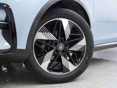 BYD Tangxin Energy 2023 DM-i Champion Edition 112KM Premium Type - фото 3